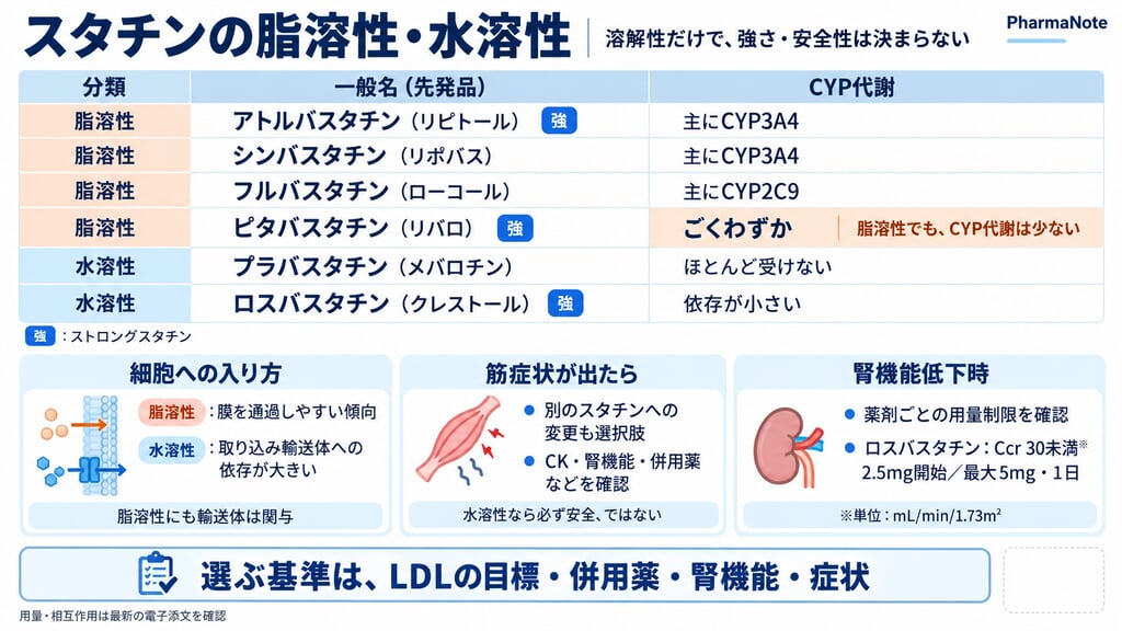 スタチンの水溶性脂溶性のまとめ